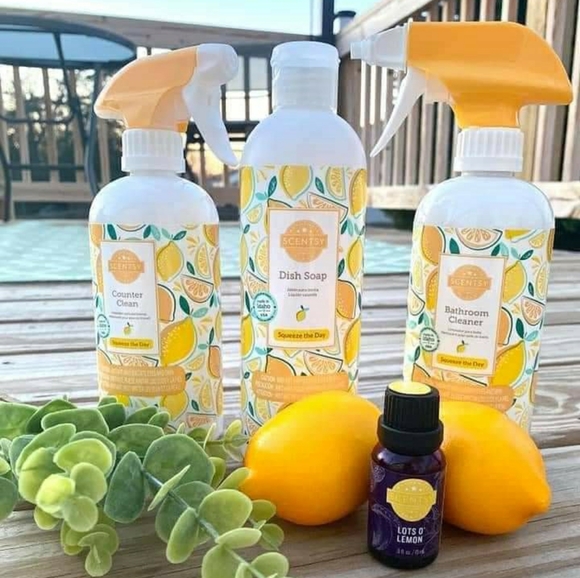 Scents/Decor - Picture 4 of 12